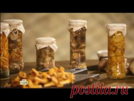 "Еда живая и мёртвая". Спецвыпуск: вся правда о грибах (26.11.2016)