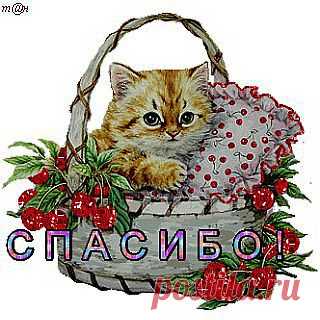 открытка