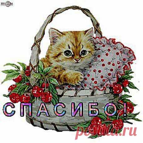 открытка
