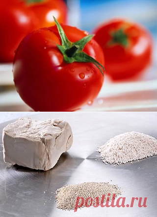 Марганцовка полив помидоров | Вырасти сад!