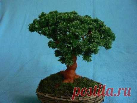 Фабрика идей - Женское хобби