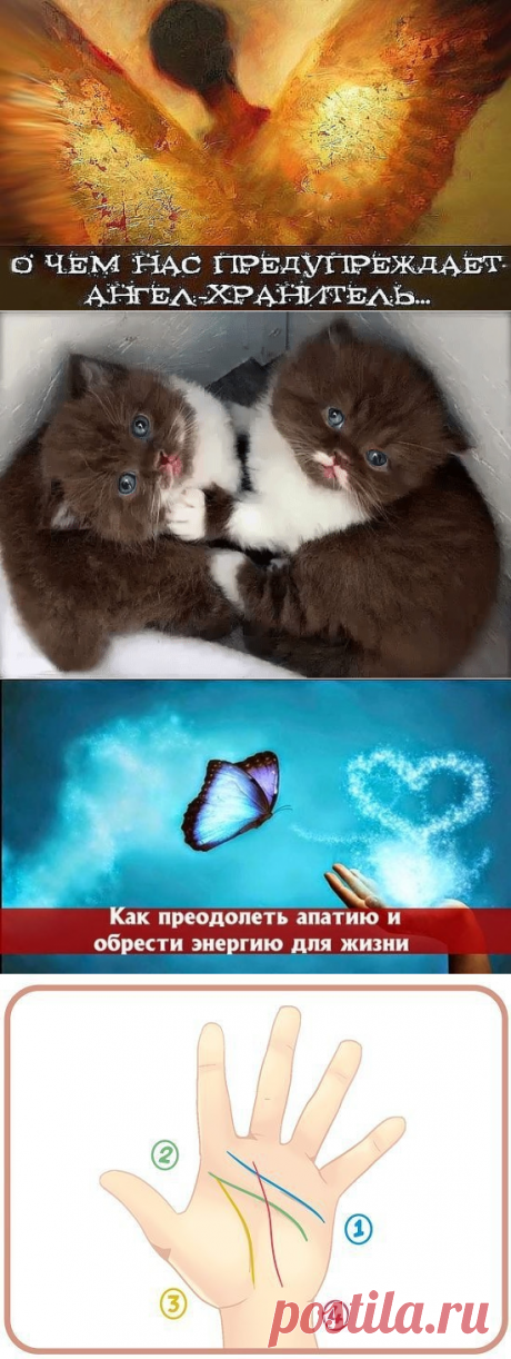 (99) Одноклассники
