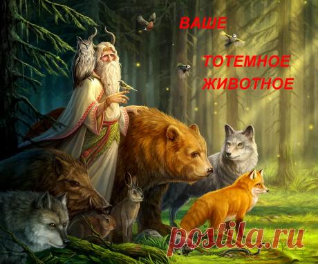 Ваше тотемное животное по древнеславянскому гороскопу &amp;raquo; Женский Мир