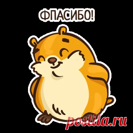 Пирог 