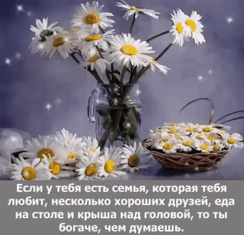 Мой Мир@Mail.Ru