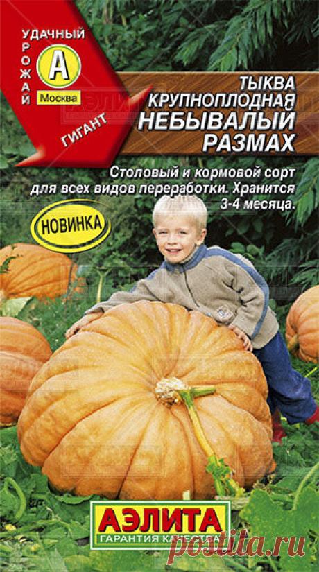 Тыква крупноплодная "Небывалый размах"