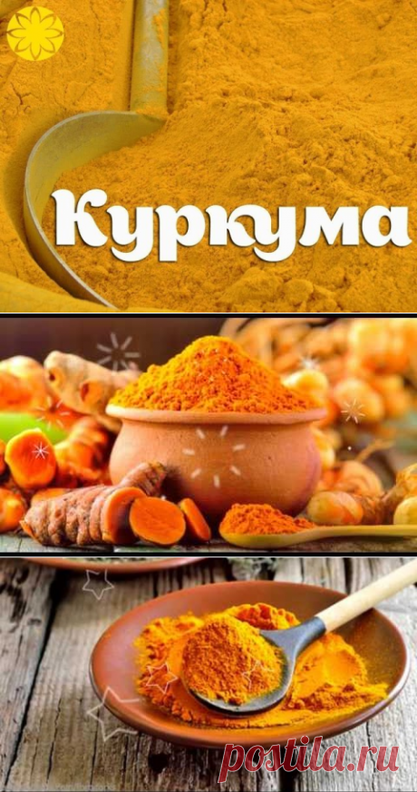 (17) Одноклассники