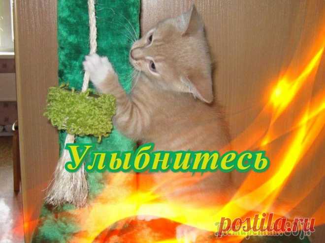 Позитив