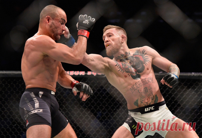 Картинки UFC (42 ФОТО) ⭐ Забавник