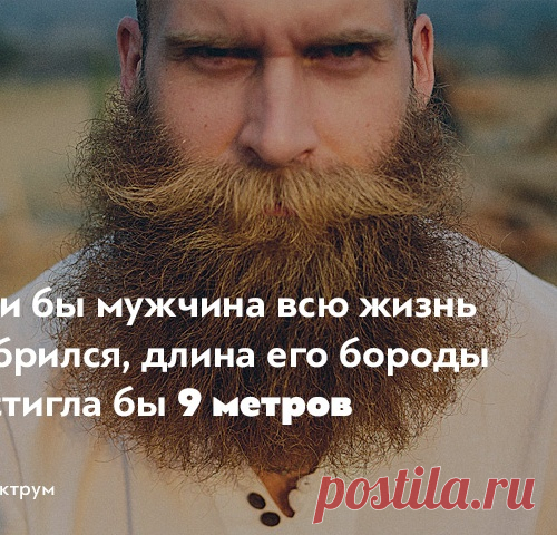 20 коротких занимательных фактов о том, как мы устроены