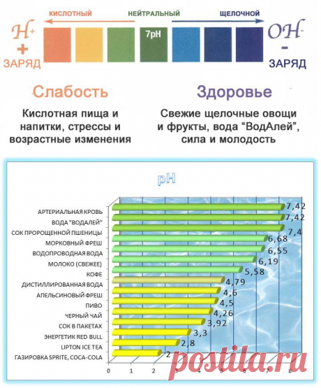 Вода, имеющая отрицательный окислительно-восстановительный потенциал (ОВП), проявляет антиоксидантные свойства и способна защищать ДНК от повреждений. ДНК подвергается нападению свободных радикалов до 10 000 раз в день.