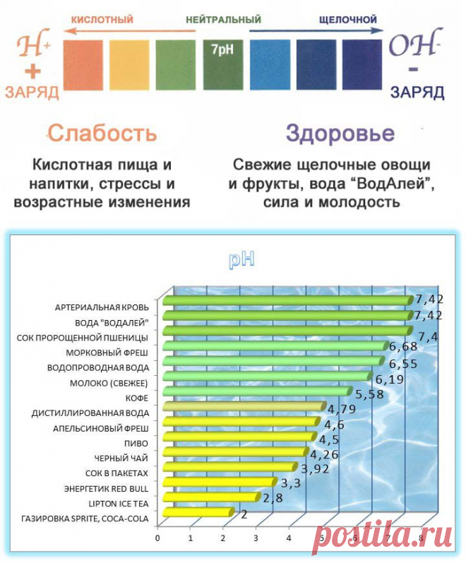 Вода, имеющая отрицательный окислительно-восстановительный потенциал (ОВП), проявляет антиоксидантные свойства и способна защищать ДНК от повреждений. ДНК подвергается нападению свободных радикалов до 10 000 раз в день.