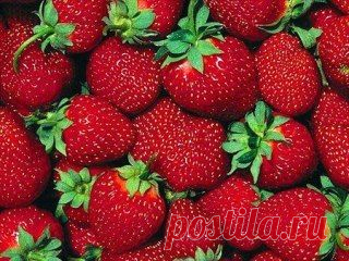 Вкусный кусочек лета!