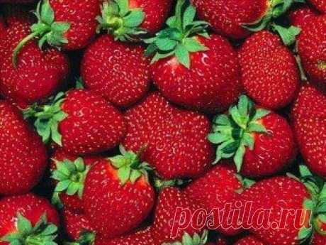 Вкусный кусочек лета!