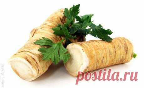 Хрен да редька со сметаной боли лечат неустанно / Популярная медицина