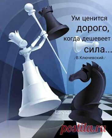 Пин на доске Мысли, цитаты и т.п.