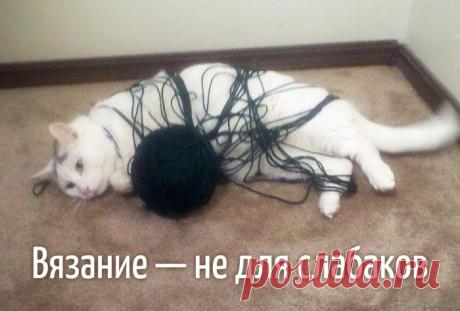 Ярмарка Мастеров_Урок вязания №1: не играй с пряжей
