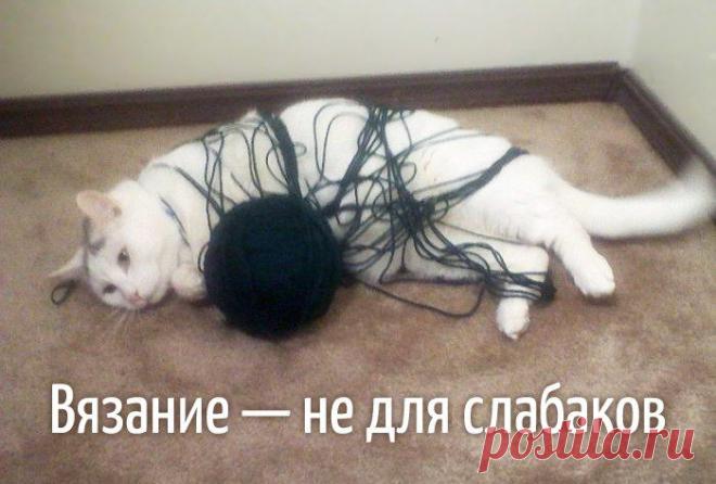 Ярмарка Мастеров_Урок вязания №1: не играй с пряжей