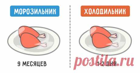 Сколько на самом деле живет еда в холодильнике