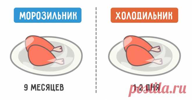 Сколько на самом деле живет еда в холодильнике