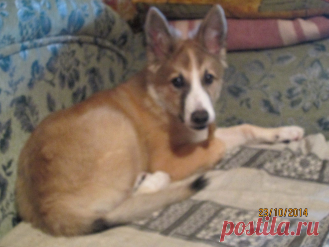 мой малыш(48 см,13 кг)4 месяца.