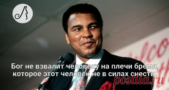 5 метких высказываний Мухаммеда Али о России, исламе и достижении целей | Личности | Яндекс Дзен