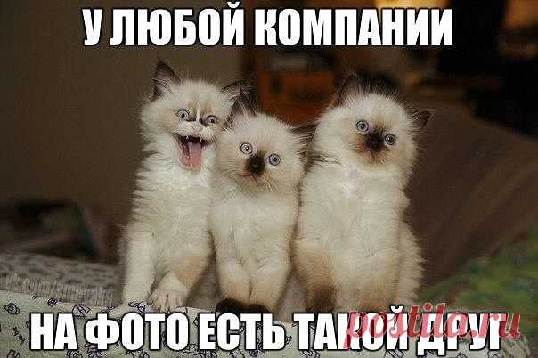 (21) Одноклассники