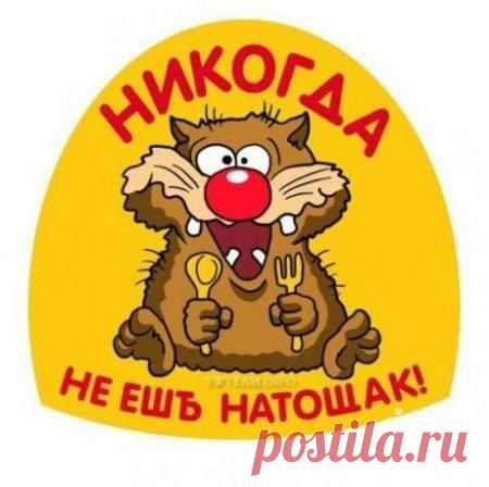 Никогда не ешь натощак !