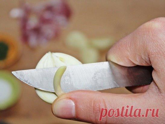 Разрезала чеснок и вынула сердцевинку… 
Когда ты поймешь почему, непременно сделаешь то же самое!