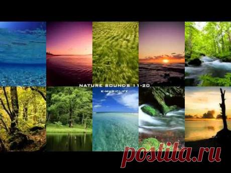 Nature Sound Collection 11-20 - Super Long Nature Sound 8hour -