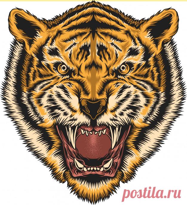 голова тигра Более миллиона свободных векторов, PSD, фотографии и бесплатные иконки. Эксклюзивные халявы и все графические ресурсы, которые необходимые для ваших проектов