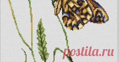 Spirit Of Summer Butterfly Cross Stitch Kit from Luca-S from £14.25