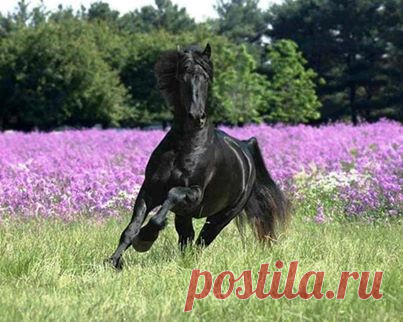 (1) DOĞA Hayattır