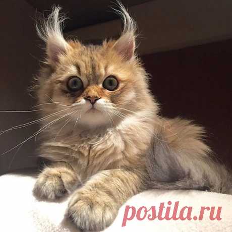 Интересные новости