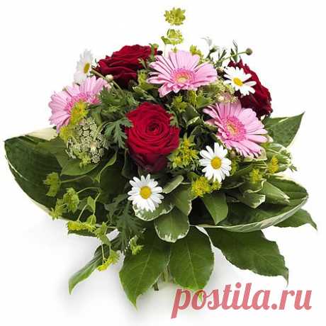 https://www.цветы-шары-доставка.рф/
