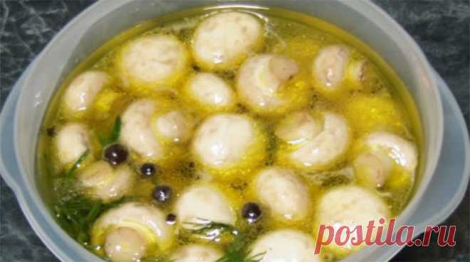 Рецепт быстрых и вкусных маринованных шампиньонов Такая грибная закуска действительно впечатляет своим  неимоверным  вкусом.  Я мариную грибы только таким способом. Ведь это не только вкусно, но и быстро. Спустя сутки шампиньоны уже готовы к употреблению.  Не отлаживайте этот рецепт на потом, а приготовьте такую вкусноту уже сейчас.