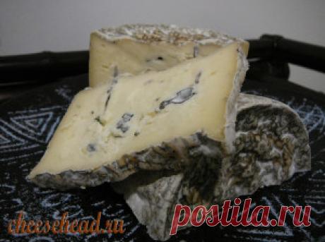 Рецепты. Горгонзола Дольче (Gorgonzola Dolche) - cheesehead.ru | cheesehead.ru