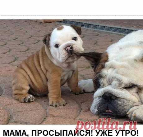 Мой Мир@Mail.Ru