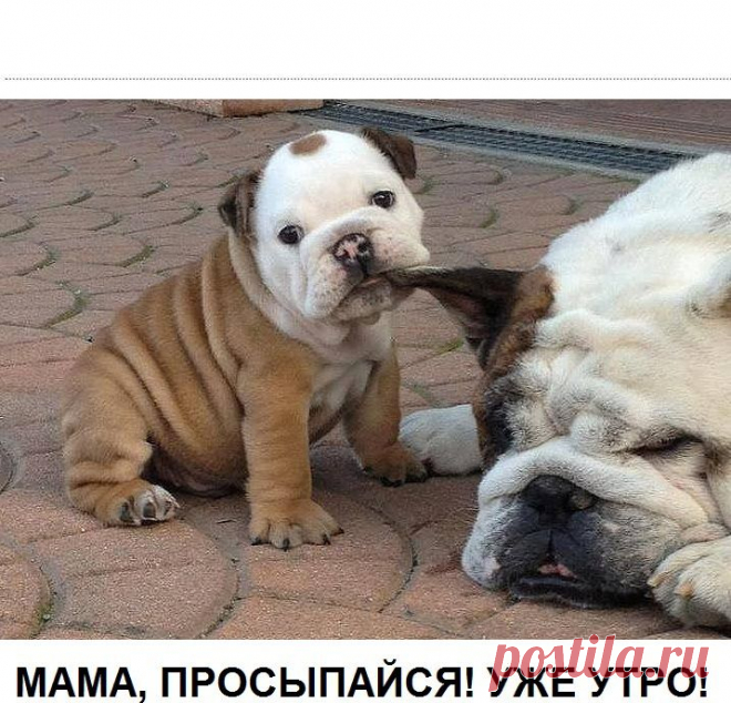 Мой Мир@Mail.Ru