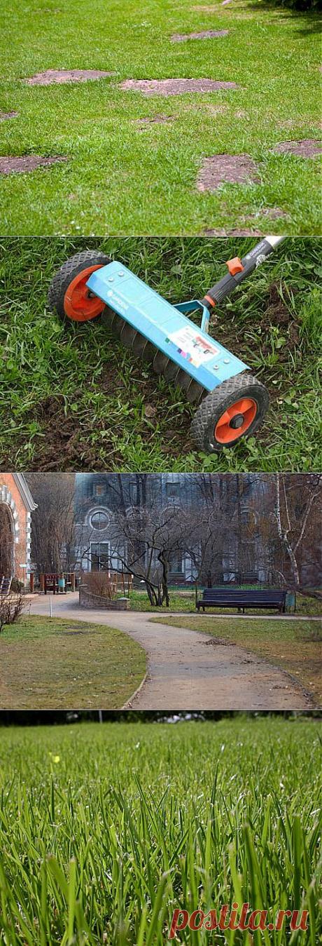 Газон: весенние работы на Supersadovnik.ru