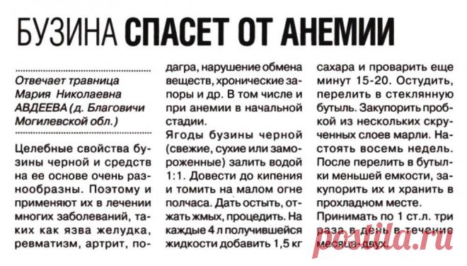 Бузина спасет от анемии
