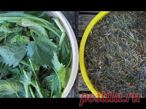 Бесплатные удобрения. Часть 2 - YouTube