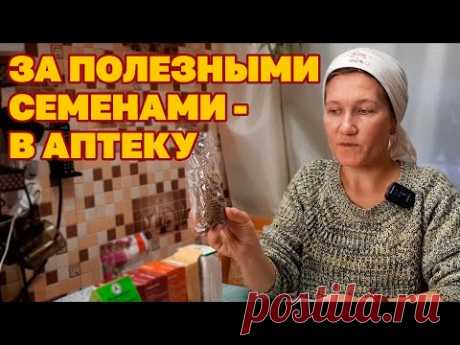 ДАЧНЫЙ СЕЗОН 2022 СЕМЕНА ИЗ АПТЕКИ ПОЛЬЗА НА КУХНЕ ЛЕЧЕБНЫЕ СВОЙСТВА СЕМЯН @Обо всем с Марусей