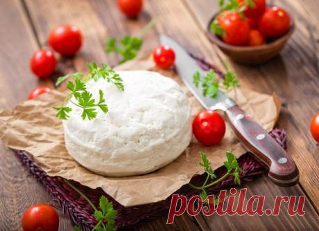 Сулугуни: рецепт кавказского сыра / Искусство кулинарии