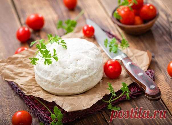 Сулугуни: рецепт кавказского сыра / Искусство кулинарии