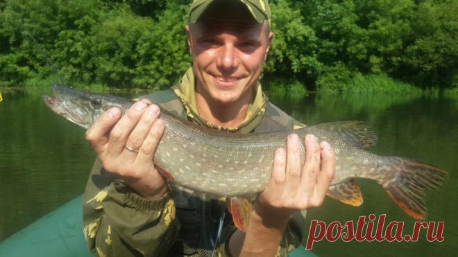 Река Ворона, Рыба моей мечты, разведка, минисплав