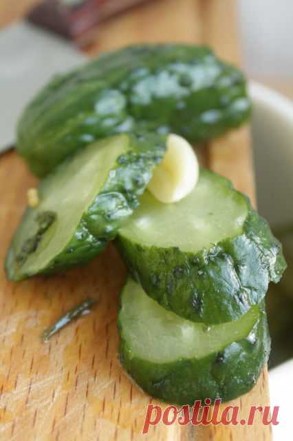 Малосольные огурчики - три любимых рецепта