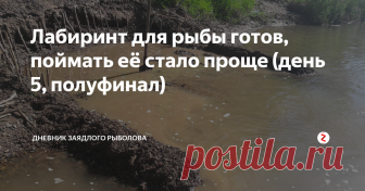 Лабиринт для рыбы готов, поймать её стало проще (день 5, полуфинал) Привет друзья! Что нам стоит дом построить, нарисуем, будем жить. Вот и я решил сначала нарисовать конструкцию ямы на бумаге, а потом перенести её на реку.
Вода стремительно уходит и река мельчает. Прошёл всего 1 день, после суточной рыбалки, а яма заметно обмельчала.
Уже виднеется камыш. Скоро на середине реки будет остров из камышей с 2 протоками по бокам. Ближе к этому берегу будет перекат, где