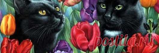 Рита Войтик - Google+