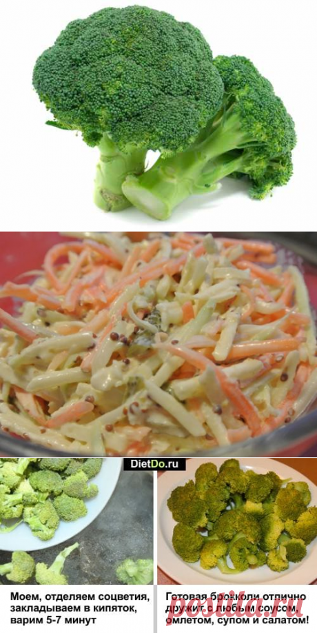 Брокколи — польза и вред для здоровья, как приготовить быстро и вкусно
